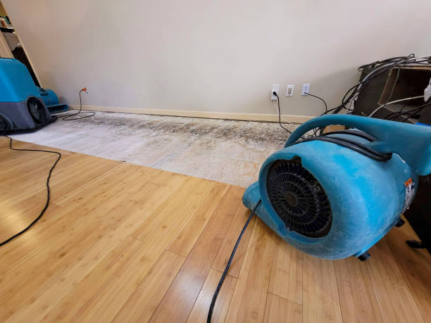 Professional Basement Flood Cleanup technician working in Highlands, NJ